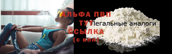 спиды Беломорск