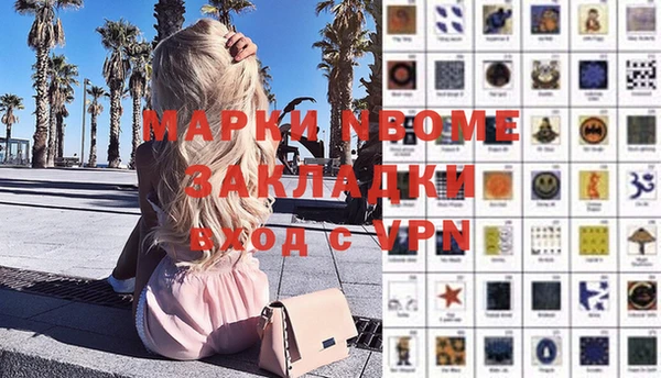 сатива Белокуриха