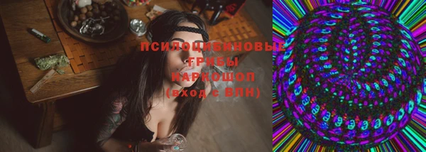 сатива Белокуриха